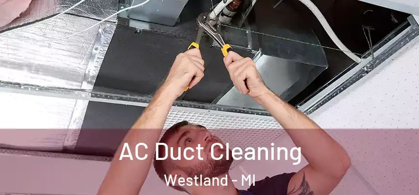 AC Duct Cleaning Westland - MI