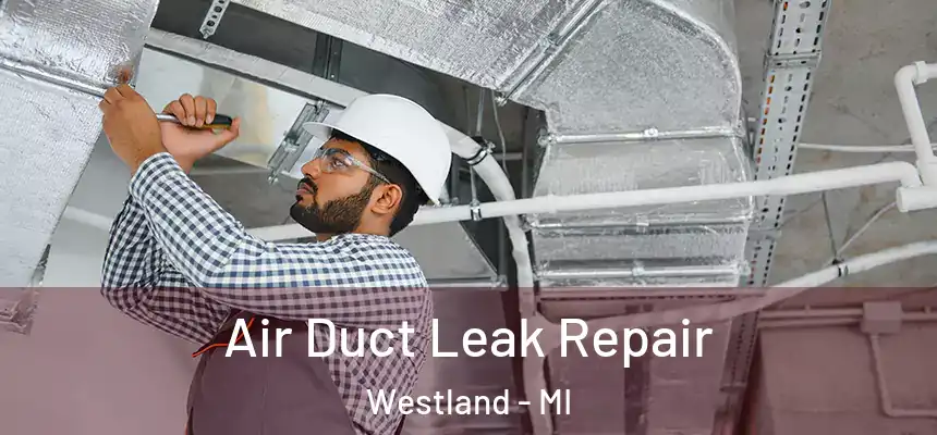 Air Duct Leak Repair Westland - MI