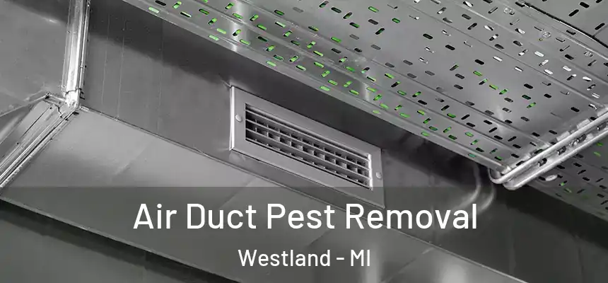Air Duct Pest Removal Westland - MI