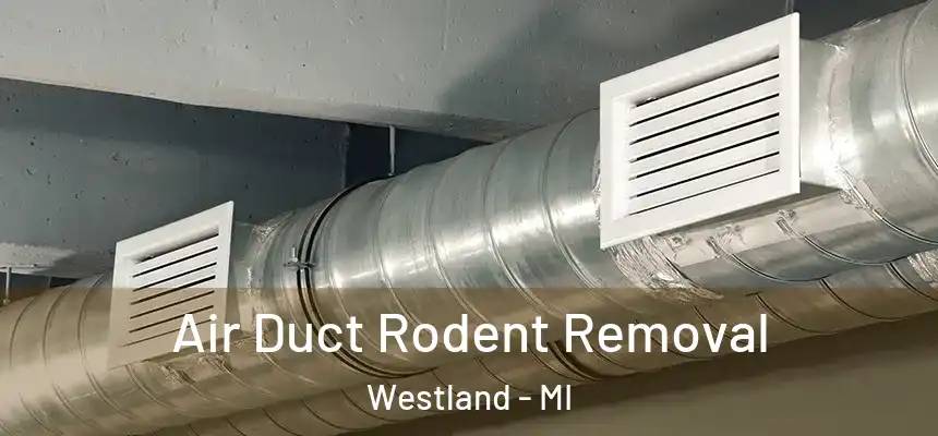 Air Duct Rodent Removal Westland - MI
