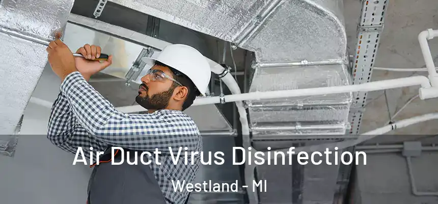 Air Duct Virus Disinfection Westland - MI