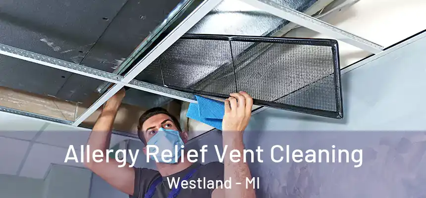 Allergy Relief Vent Cleaning Westland - MI