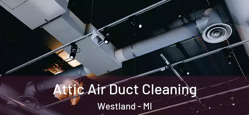 Attic Air Duct Cleaning Westland - MI
