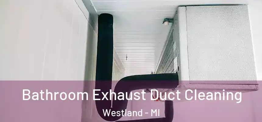 Bathroom Exhaust Duct Cleaning Westland - MI