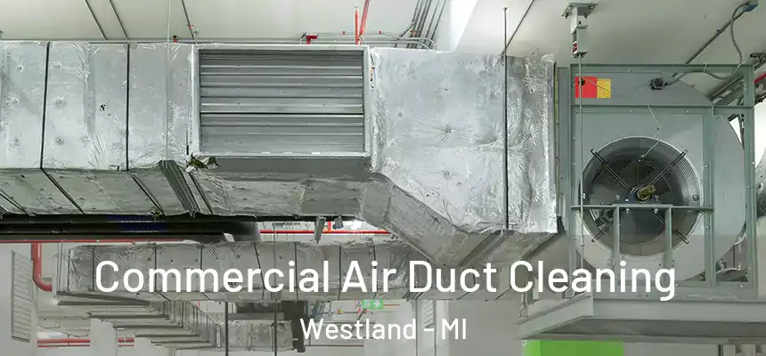Commercial Air Duct Cleaning Westland - MI