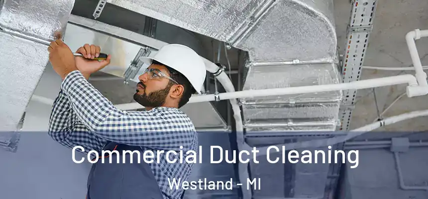 Commercial Duct Cleaning Westland - MI