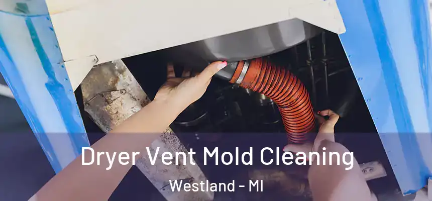 Dryer Vent Mold Cleaning Westland - MI