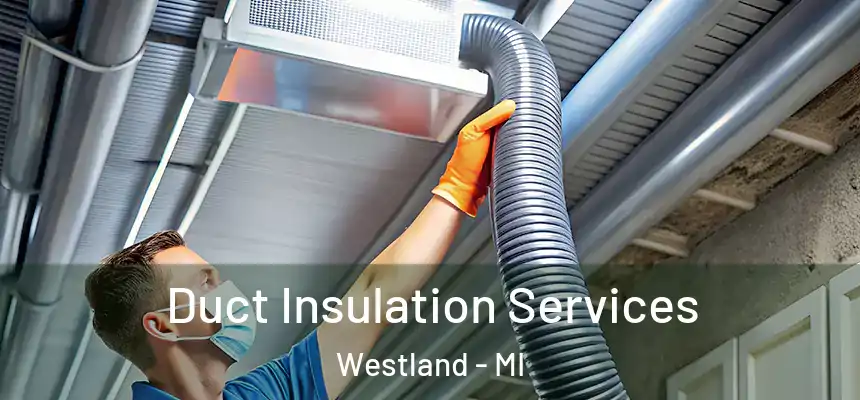 Duct Insulation Services Westland - MI