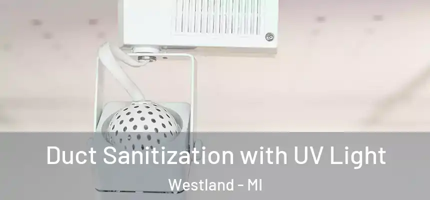 Duct Sanitization with UV Light Westland - MI