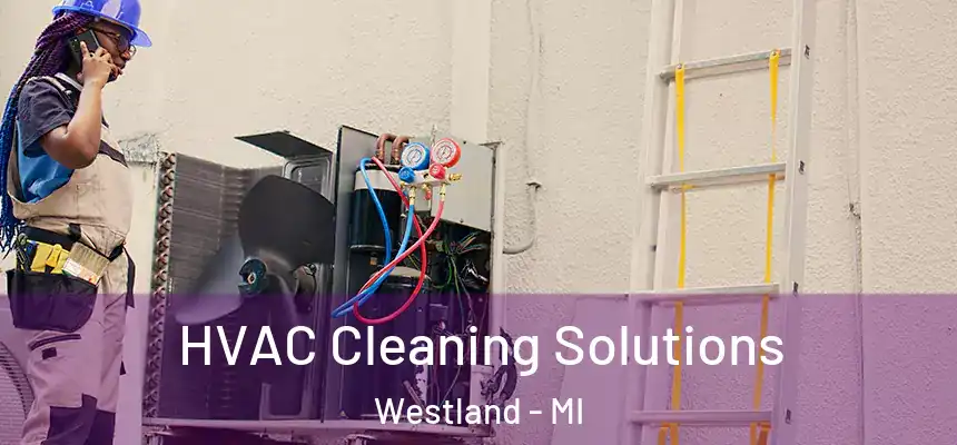 HVAC Cleaning Solutions Westland - MI