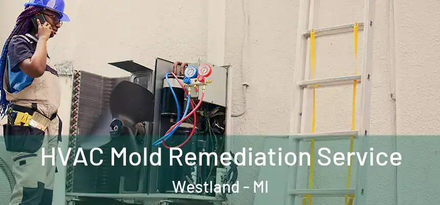 HVAC Mold Remediation Service Westland - MI