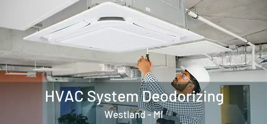 HVAC System Deodorizing Westland - MI