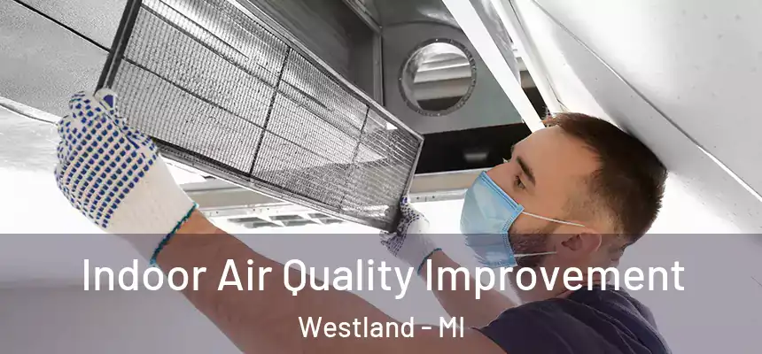 Indoor Air Quality Improvement Westland - MI