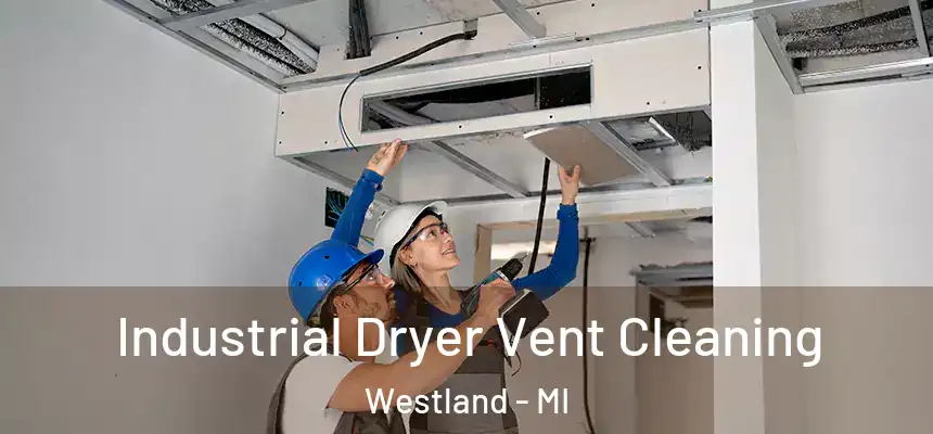 Industrial Dryer Vent Cleaning Westland - MI