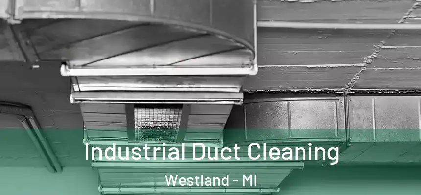 Industrial Duct Cleaning Westland - MI