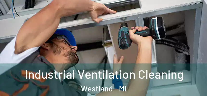 Industrial Ventilation Cleaning Westland - MI