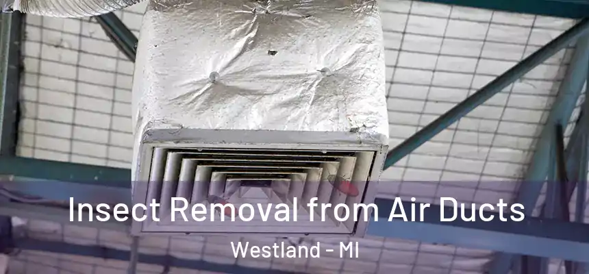Insect Removal from Air Ducts Westland - MI