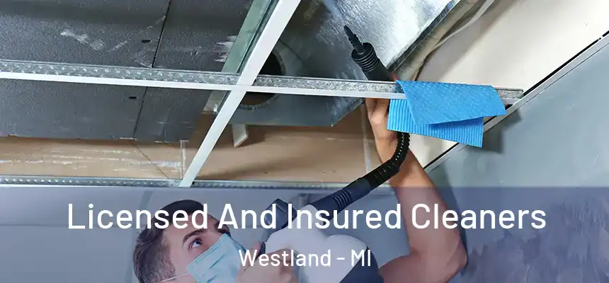 Licensed And Insured Cleaners Westland - MI