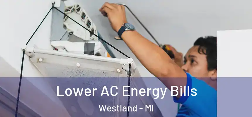 Lower AC Energy Bills Westland - MI