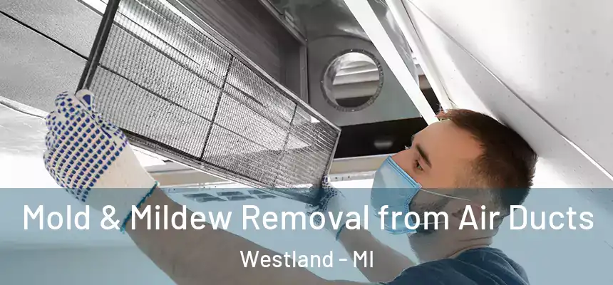 Mold & Mildew Removal from Air Ducts Westland - MI