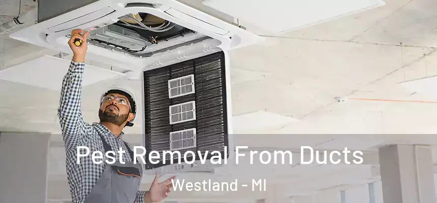 Pest Removal From Ducts Westland - MI