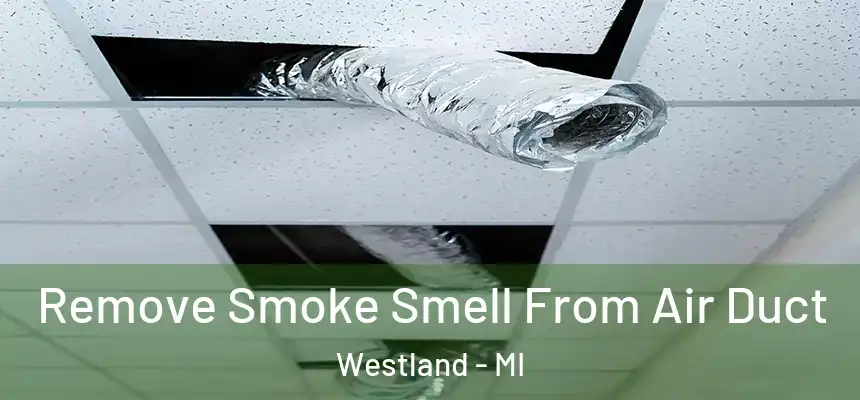 Remove Smoke Smell From Air Duct Westland - MI