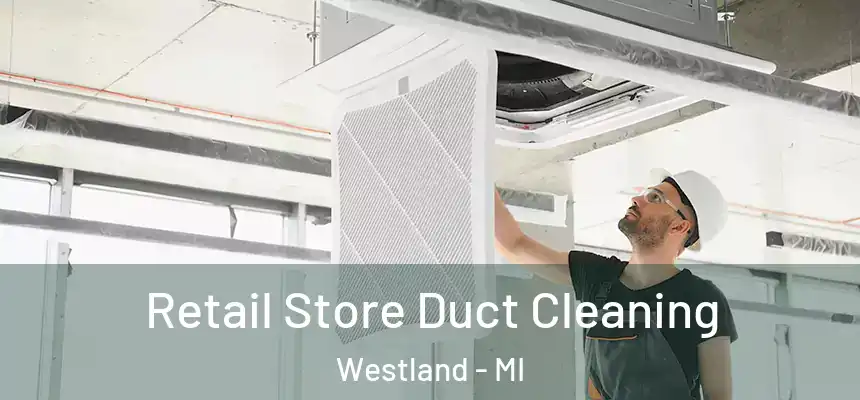 Retail Store Duct Cleaning Westland - MI