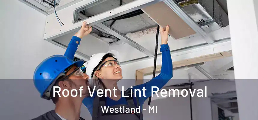 Roof Vent Lint Removal Westland - MI
