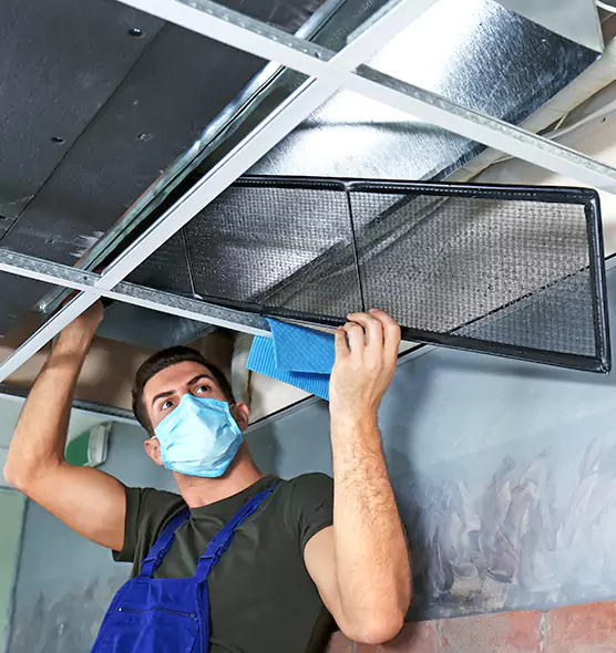 About Air Duct Bacteria Removal in Westland