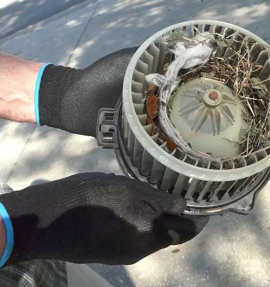 About Air Duct Rat Removal in Westland, MI