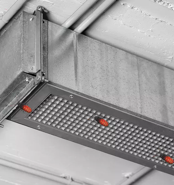 Affordable Insect Removal from Air Ducts in Westland, MI