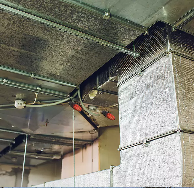 Why Homeowners & Businesses Trust Us in Westland, MI?