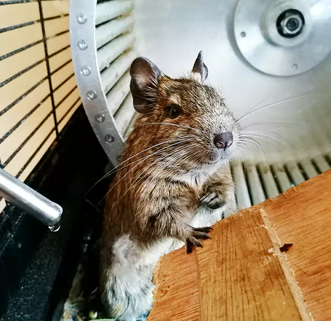 Why Homeowners & Businesses Trust Us Westland, MI