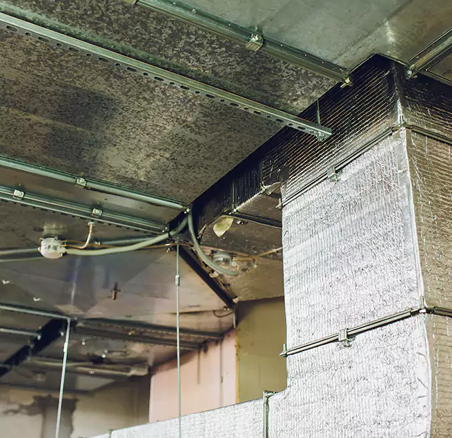 Why Homeowners & Businesses Trust Us in Westland, MI?