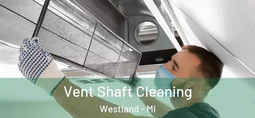 Vent Shaft Cleaning Westland - MI